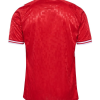 Denemarken Thuis Shirt 2024 - goedkope voetbalshirts